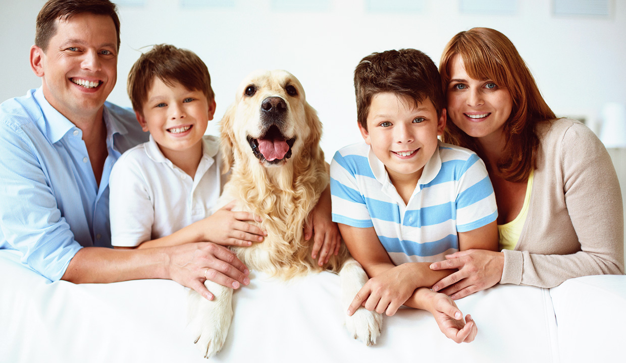 Welche Persönlichkeit hat der Hund?