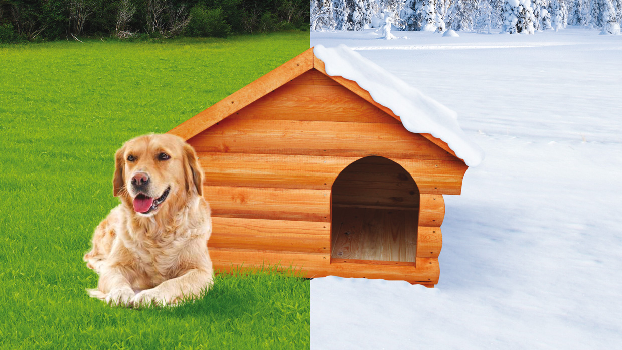 Wie geschützt ist der Platz der Hundehütte in den wärmeren und kälteren Monaten?