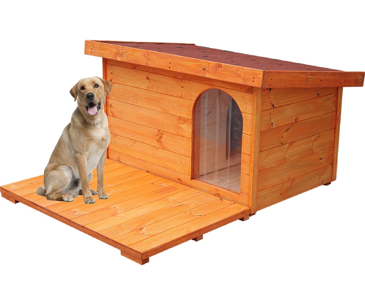 Dexter isolierte Hundehütte