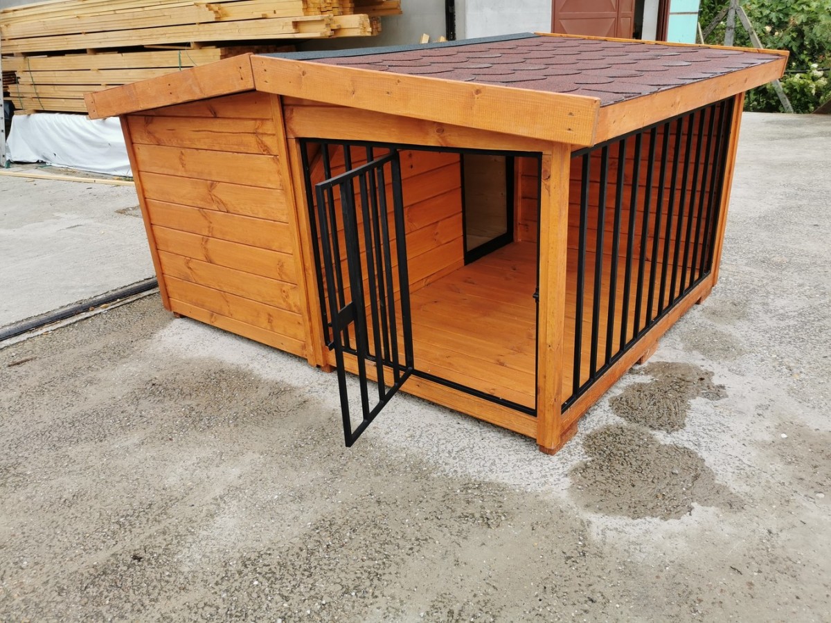 Rex isolierte Hundehütte