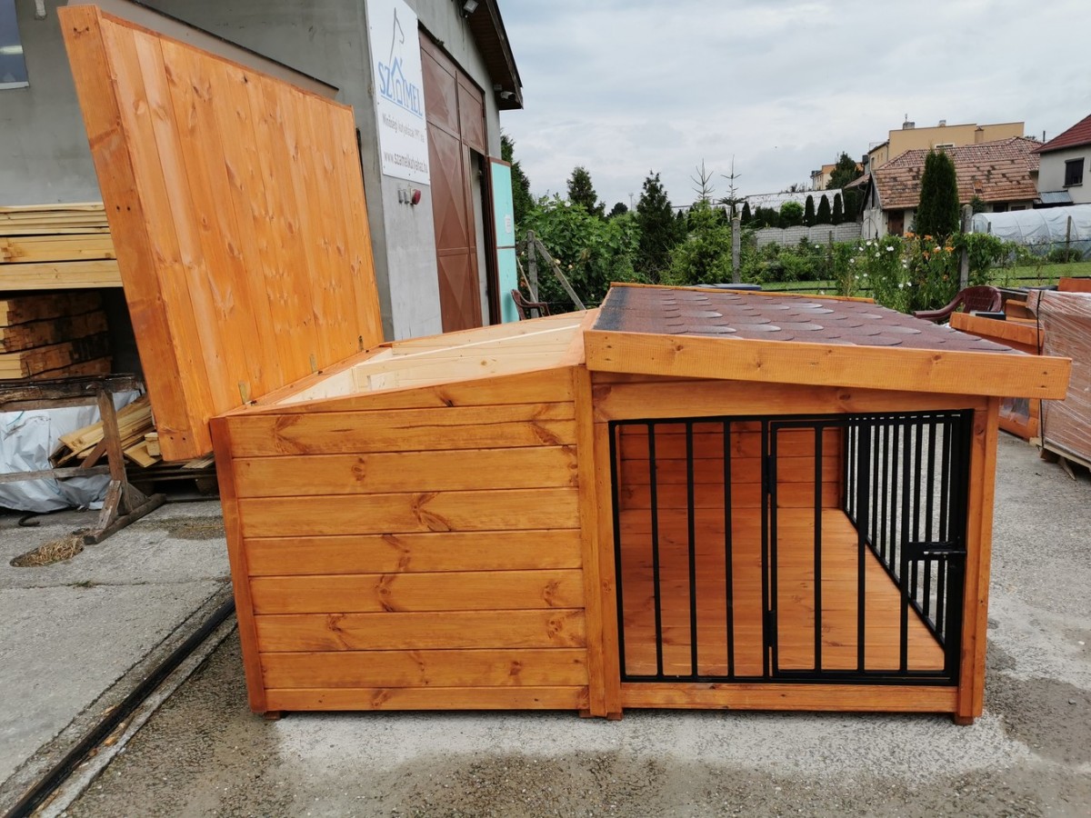 Rex isolierte Hundehütte