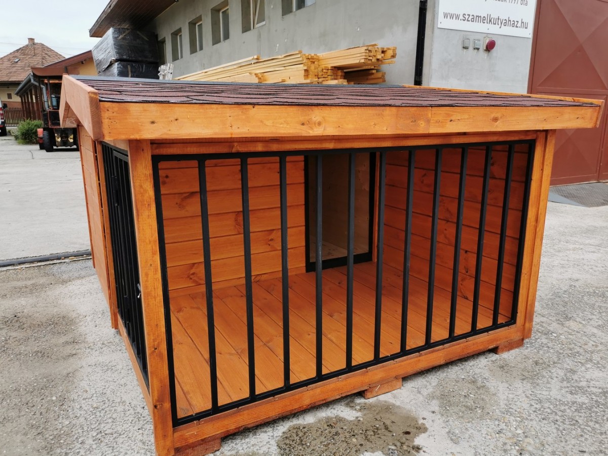 Rex isolierte Hundehütte